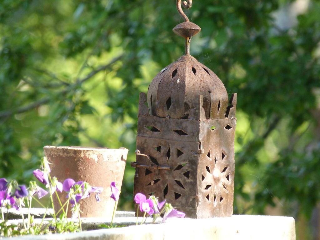 Domaine Des Deux Cedres Bed & Breakfast Gauriac Exterior foto